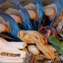 구읍뱃터 이미지