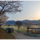 밀양시청
