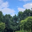 원미용실 이미지