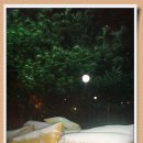 송운초교 이미지