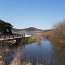 내림 펜션 이미지