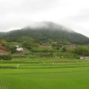 인희네