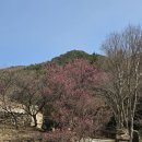 순천-79호 네이버블로그