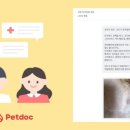 펫닥