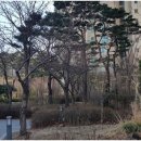 갤럭시공인중개사사무소 이미지