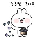 녹번동미장원