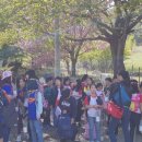 선암초등학교 병설유치원 이미지