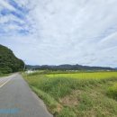 한실농박 이미지