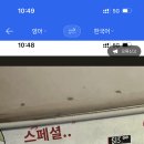 피터피쉬