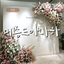 메종드피아노 - 서구 청라커낼로 223 | [서울/강남] 강남 신상 웨딩홀 메종드아나하 예식장 하객 후기 주차장 ATM 신라스테이 역삼