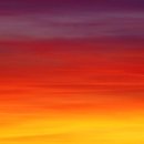 안나의 푸줏간 지제퍼스티움점 이미지