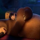 애니멀타임 이미지