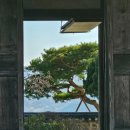 최*진 - 안양시 만안구 양화로71번길 | 하동 가볼 만한 곳 당일치기 여행!!! <박경리문학관과 영화 촬영지 최 참판 댁> 후기