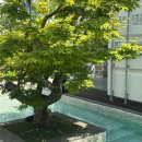 더컨테이너펜션 이미지