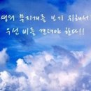하얀창가