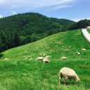 재원목장 이미지