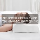 요즘 메모리폼 경추베개 쓰는 이유와 추천 브랜드 3곳 알아보기