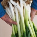 사촌농장 이미지