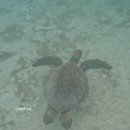 360 | 산크리스토발 360 투어 후기｜갈라파고스 하루 보트투어 가격·코스