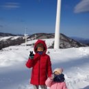 (주)대관령식품 이미지
