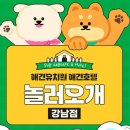 놀러오개 애견유치원 애견호텔 강남점 네이버블로그