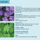 주)케이엔제이씨 | 노스노코콜이방지 스프레이 코골이 예방에 효과 굿