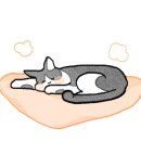 서구정신건강복지센터 이미지