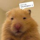 머스마막창 | 8-1 휴가일지