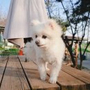 송라중학교 이미지