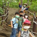 흙이랑 나무랑 이미지