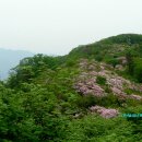 축령산유원지
