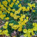 한별 반려동물 장례식장 이미지