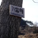 내고향간이역 Daum카페