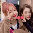 위미 이미지