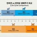 장년축산 이미지