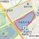 맛집정보/서울 벚꽃길 주변 맛집3-석촌 호수 벚꽃 길 이미지
