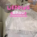 아시아결혼정보 | 광주 퍼스널컬러 컬러소나 퍼스널컬러 광주 웨딩진단 드레스 원단까지 추천받은 후기