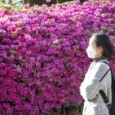 대덕대로4 이미지