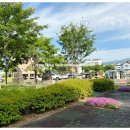 시민근린공원 건너편 이미지