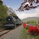 곡성-174 이미지