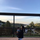 모안10 이미지