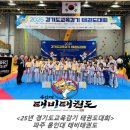 용인대 태비태권도장 이미지