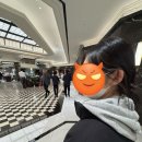 마루콩콩 이미지