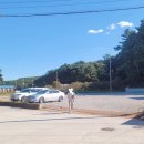 리가브로 이미지