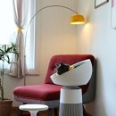 고양이집사 이미지