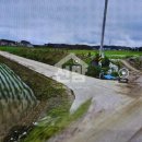 석정초교 이미지