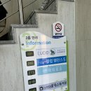 루시드키즈카페