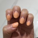 영양카써비스 이미지