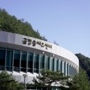 금강송테마전시관 이미지