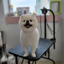 동행펫살롱 네이버블로그